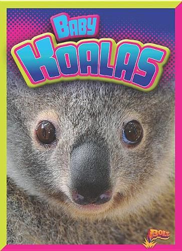 Cover image for Baby Koalas