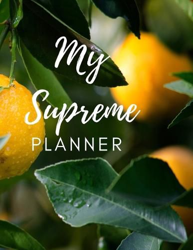 Cover image for The Supreme Planner