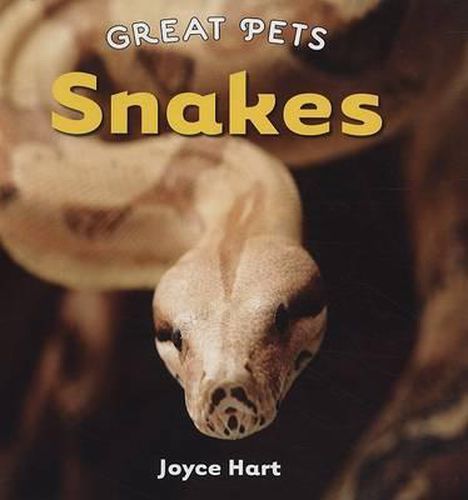 Cover image for Snakes