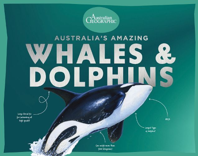 Cover image for Australia's Amazing Whales and Dolphins
