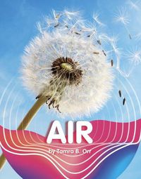 Cover image for Air