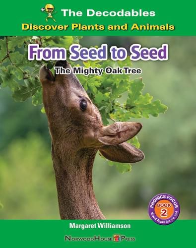 Cover image for From Seed to Seed: The Mighty Oak Tree