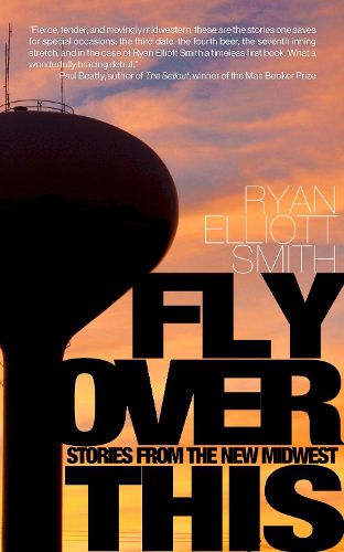 Cover image for Fly Over This: Stories From the New Midwest