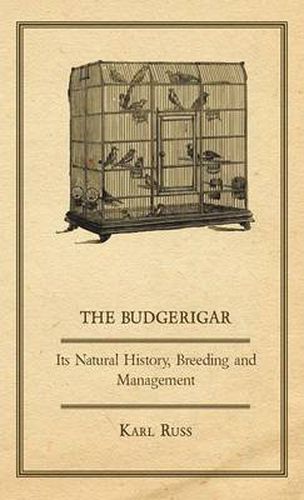 Cover image for The Budgerigar - Its Natural History, Breeding And Management