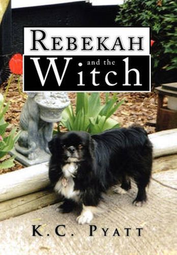 Cover image for Rebekah and the Witch