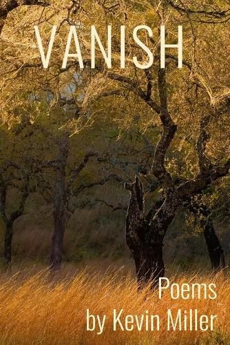 Cover image for Vanish