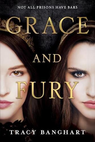 Cover image for Grace and Fury