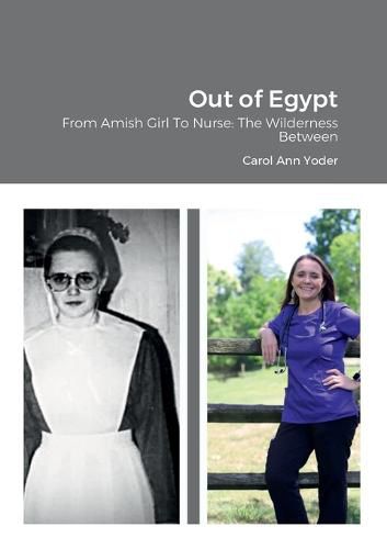 Cover image for Out of Egypt