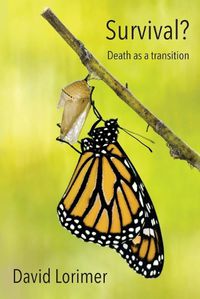 Cover image for Survival? Death as a Transition