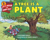 Cover image for A Tree Is a Plant