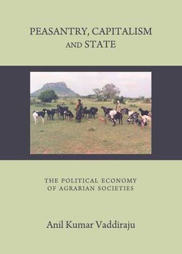 Cover image for Peasantry, Capitalism and State: The Political Economy of Agrarian Societies