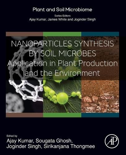 Cover image for Nanoparticles Synthesis by Soil Microbes