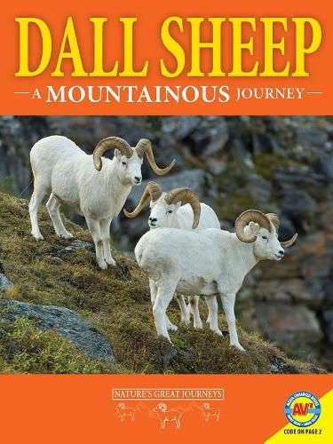 Cover image for Dall Sheep: A Mountainous Journey