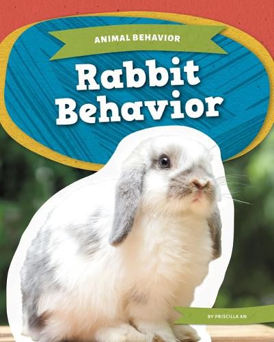 Cover image for Rabbit Behavior