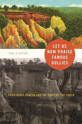 Cover image for Let Us Now Praise Famous Gullies: Providence Canyon and the Soils of the South