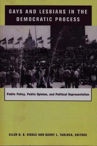 Cover image for Gays and Lesbians in the Democratic Process: Public Policy, Public Opinion and Political Representation