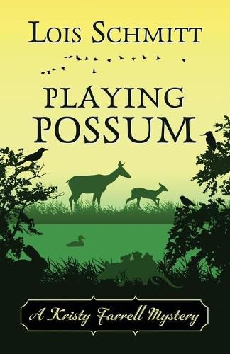 Cover image for Playing Possum