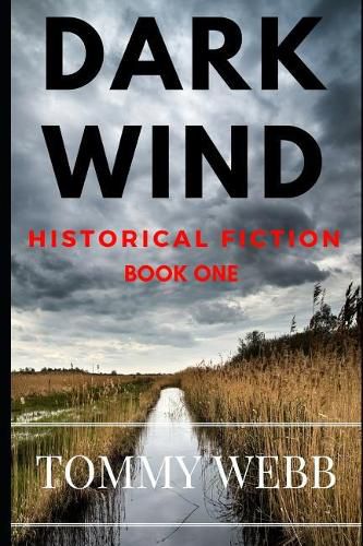 Cover image for Dark Wind