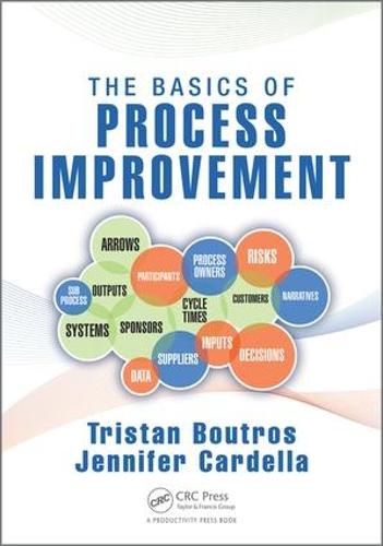 Cover image for The Basics of Process Improvement