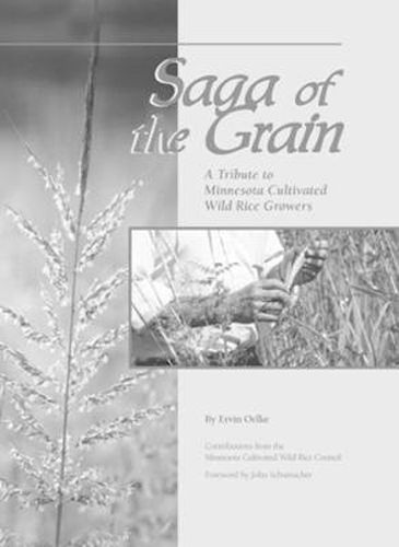 Cover image for Saga of The Grain: A Tribute to Minnesota Cultivated Wild Rice Growers