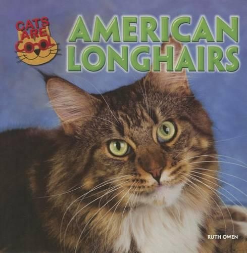 Cover image for American Longhairs