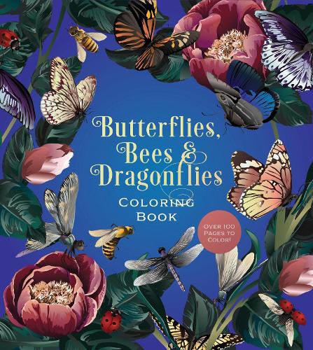 Cover image for Butterflies, Bees & Dragonflies Coloring Book