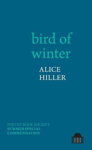 Cover image for bird of winter