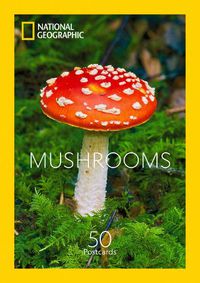 Cover image for Mushrooms