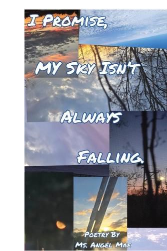 Cover image for I Promise My Sky Isn't Always Falling