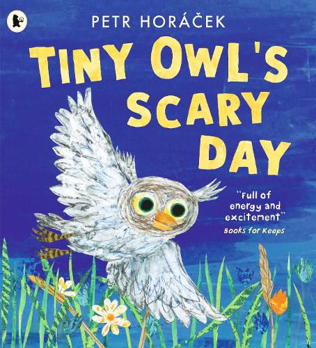 Cover image for Tiny Owl's Scary Day