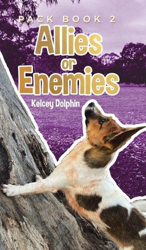 Cover image for Allies or Enemies