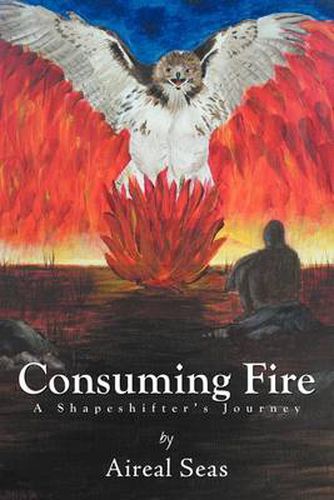 Cover image for Consuming Fire