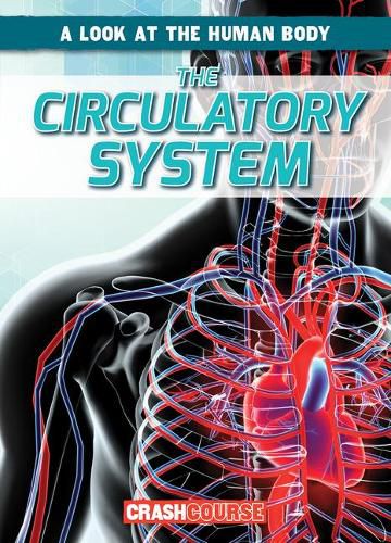 Cover image for The Circulatory System