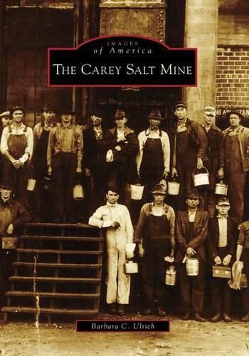 Cover image for The Carey Salt Mine