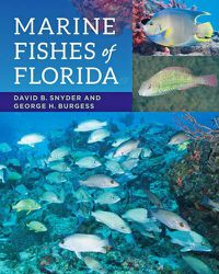 Cover image for Marine Fishes of Florida