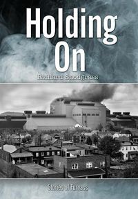 Cover image for Holding On: Stories of Furnass