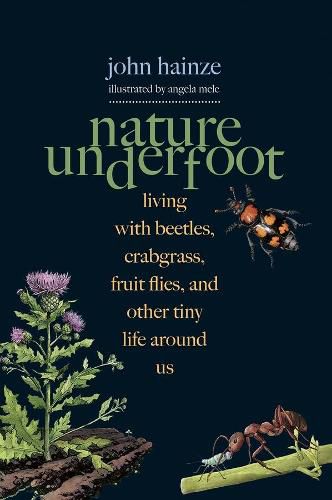 Cover image for Nature Underfoot: Living with Beetles, Crabgrass, Fruit Flies, and Other Tiny Life Around Us