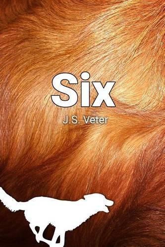 Cover image for Six