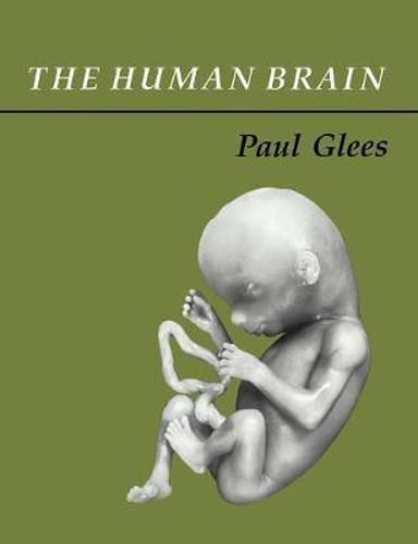 Cover image for The Human Brain