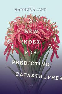 Cover image for A New Index For Predicting Catastrophes