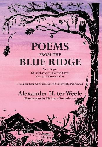 Cover image for Poems from the Blue Ridge