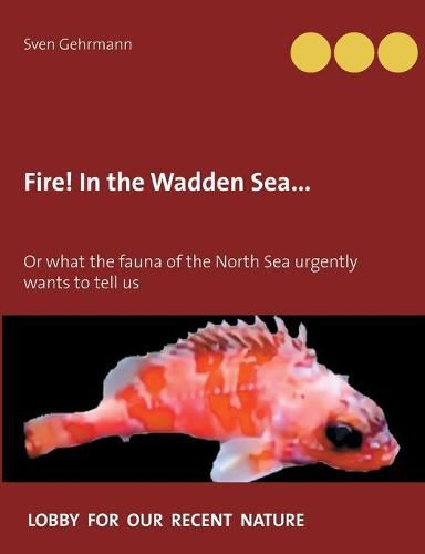 Cover image for Fire! In the Wadden Sea...: Or what the fauna of the North Sea urgently wants to tell us