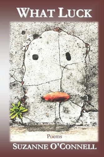 Cover image for What Luck