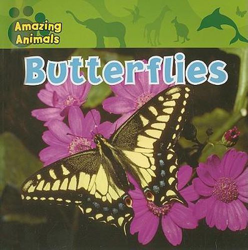 Cover image for Butterflies