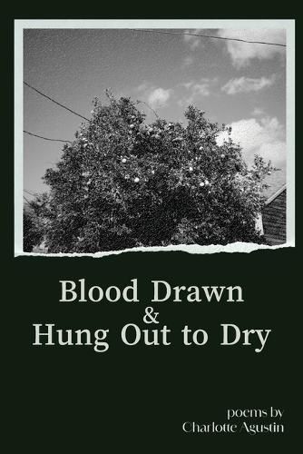 Cover image for Blood Drawn & Hung Out to Dry