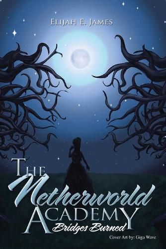 Cover image for The Netherworld Academy