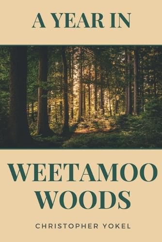 Cover image for A Year in Weetamoo Woods