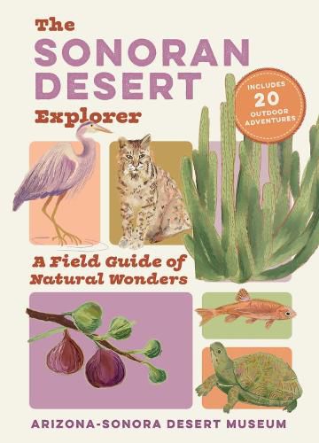 Cover image for The Sonoran Desert Explorer