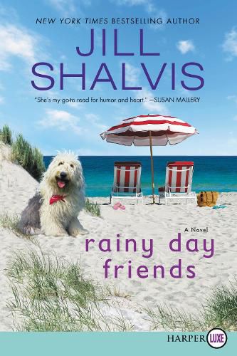 Cover image for Rainy Day Friends