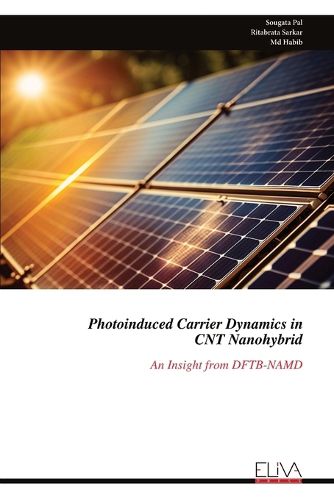 Cover image for Photoinduced Carrier Dynamics in CNT Nanohybrid